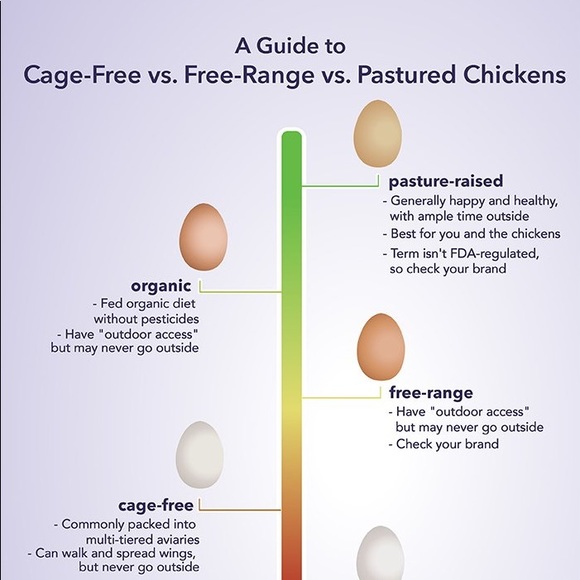 Welcome to Simply Chick π€ - Picture 8 of 9